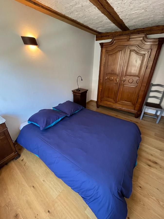 Domaine La Cour Des Nobles - Demeure, Maison et Appartements au coeur de Riquewihr Extérieur photo