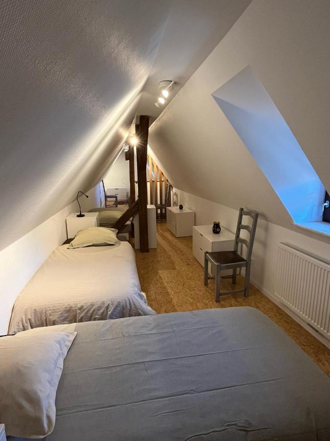 Domaine La Cour Des Nobles - Demeure, Maison et Appartements au coeur de Riquewihr Extérieur photo